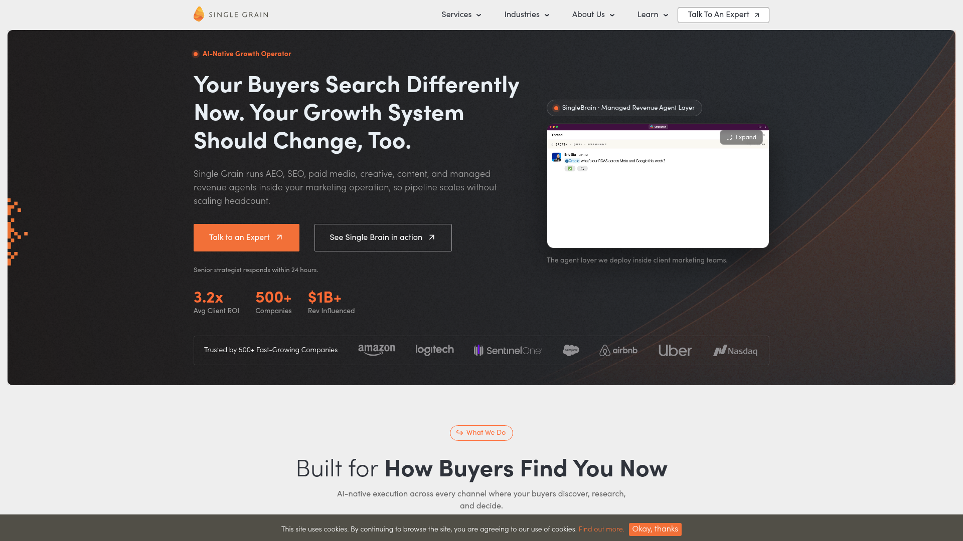 Homepage of the Single Grain digital marketing agency